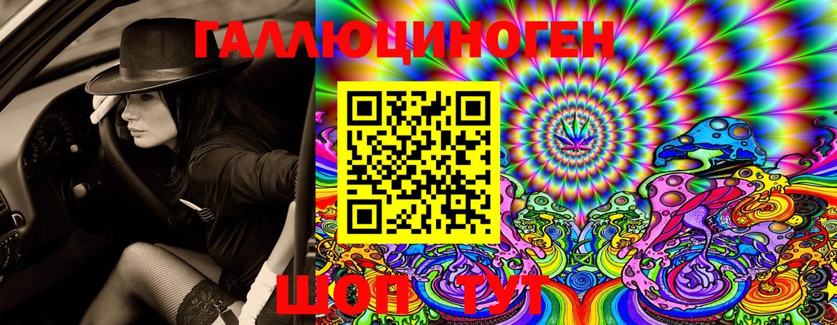 купить  сайты  Галлюциногенные грибы Psilocybe  Псилоцибиновые грибы Psilocybe  Вход с VPN  Петропавловск-Камчатский 